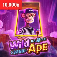 Hình ảnh chương trình VIP và các lợi ích độc quyền của Suwin